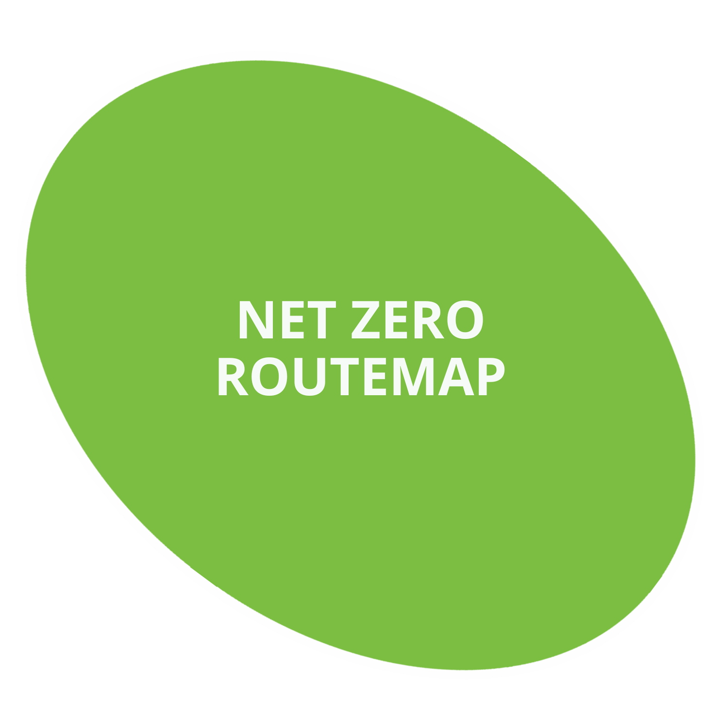 Strategic business support for net zero adaptation and delivery